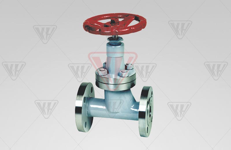 LPG globe valve