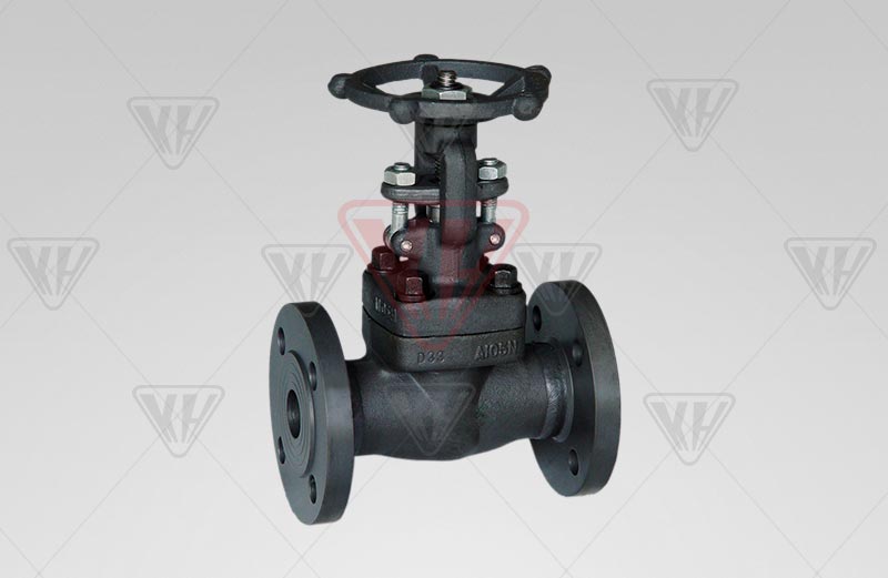 American Standard forged steel flange valve